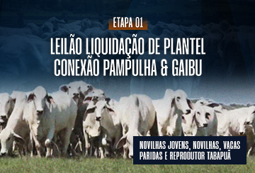 LEILÃO LIQUIDAÇÃO DE PLANTEL CONEXÃO PAMPULHA & GAIBU - ETAPA 01